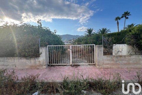 Terreno a Alcanar, Tarragona, Spagna 474 mq. N° 185703