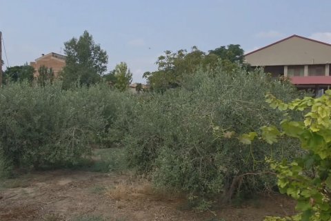 Zemes gabals Spānijā 485 m2 Nr. 185708