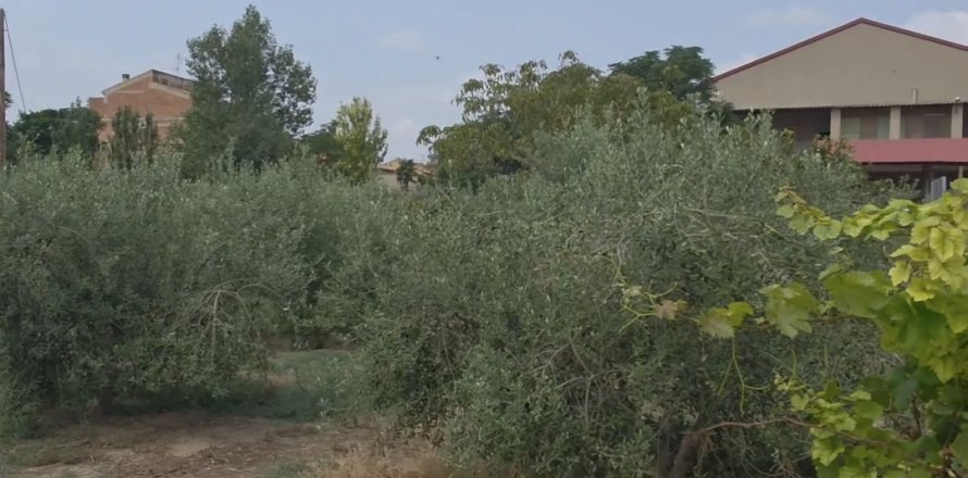 Land in Spanien 485 m2 Nr. 185708