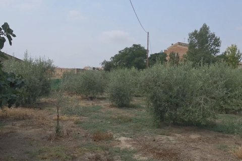 Land zum Verkauf in Spanien 485 m2 Nr. 185708 - Foto 3