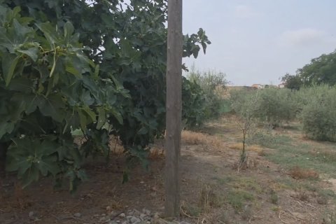 Land zum Verkauf in Spanien 485 m2 Nr. 185708 - Foto 4