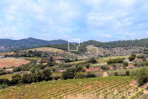 Villa till salu i Teia, Barcelona, Spanien 7 sovrum, 788 kvm. Nr. 150862 - foto 23