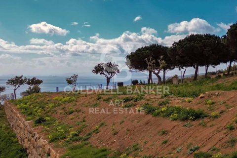 Tontti myytävänä Manilva, Malaga, Espanja , 1146 m2 No. 158595 - kuva 5