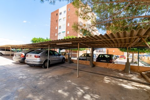 Huoneisto myytävänä Punta Prima, Alicante, Espanja, 2 makuuhuonetta, 56 m2 No. 183563 - kuva 4