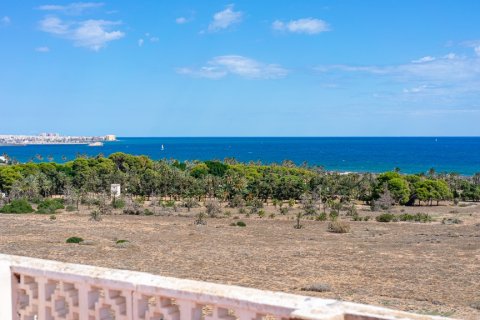 Huoneisto myytävänä Punta Prima, Alicante, Espanja, 2 makuuhuonetta, 56 m2 No. 183563 - kuva 29