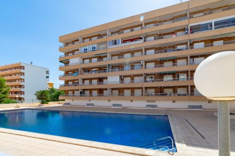 Huoneisto myytävänä Punta Prima, Alicante, Espanja, 2 makuuhuonetta, 56 m2 No. 183563 - kuva 3