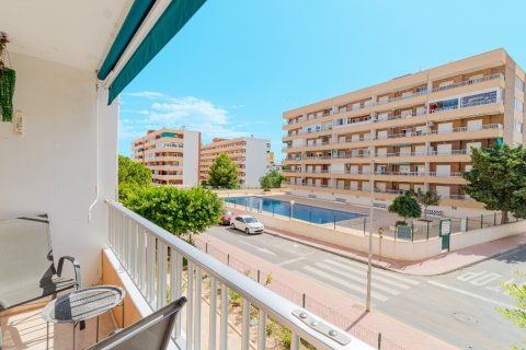 Lägenhet i Punta Prima, Alicante, Spanien 2 sovrum, 56 kvm. Nr. 183563