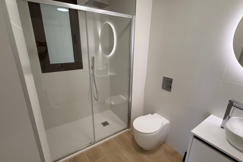 Apartament Alicante, Hiszpania 2 sypialnie, 80 mkw. nr 137688 – zdjęcie 25