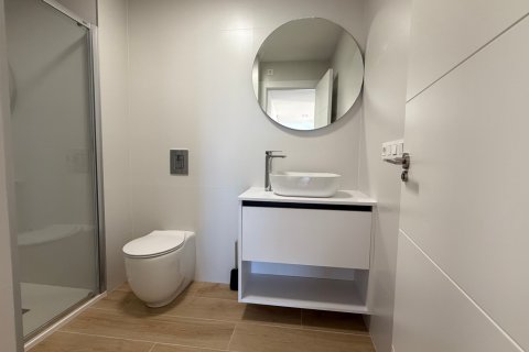 Apartament Alicante, Hiszpania 2 sypialnie, 80 mkw. nr 137688 – zdjęcie 24