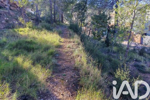 Terreno in vendita a Gilet, Valencia, Spagna 604 mq. N° 185450 - foto 5