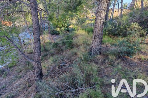 Terreno in vendita a Gilet, Valencia, Spagna 604 mq. N° 185450 - foto 3