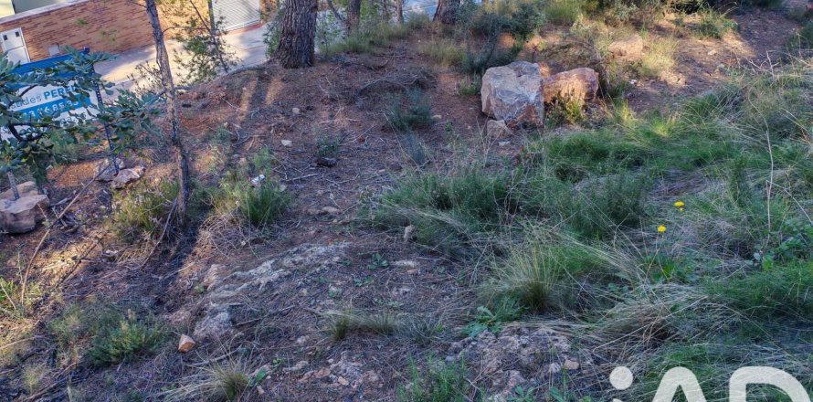 Terreno a Gilet, Valencia, Spagna 604 mq. N° 185450