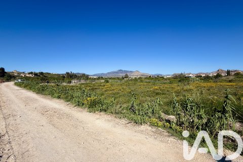 Parcela en venta en Archena, Murcia, España 4254 m2 No. 188412 - foto 3