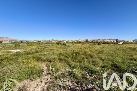 Parcela en venta en Archena, Murcia, España 4254 m2 No. 188412 - foto 2