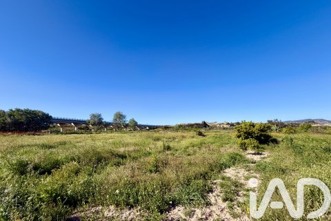 Parcela en venta en Archena, Murcia, España 4254 m2 No. 188412 - foto 6