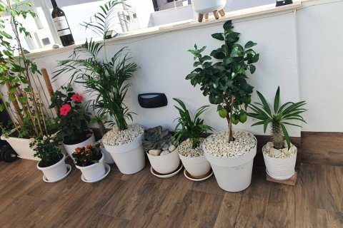 Villa in vendita a San Pedro del Pinatar, Murcia, Spagna 2 camere da letto, 92 mq. N° 163128 - foto 23