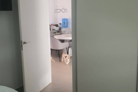 Villa in vendita a San Pedro del Pinatar, Murcia, Spagna 2 camere da letto, 92 mq. N° 163128 - foto 21