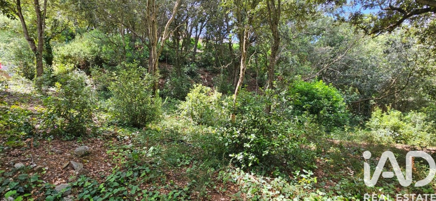 Tontti Begur, Girona, Espanja 858 m2 No. 172060