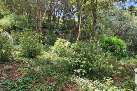 Land zum Verkauf in Begur, Girona, Spanien 858 m2 Nr. 172060 - Foto 6