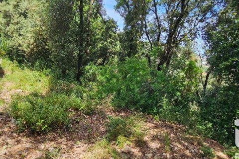 Land zum Verkauf in Begur, Girona, Spanien 858 m2 Nr. 172060 - Foto 8