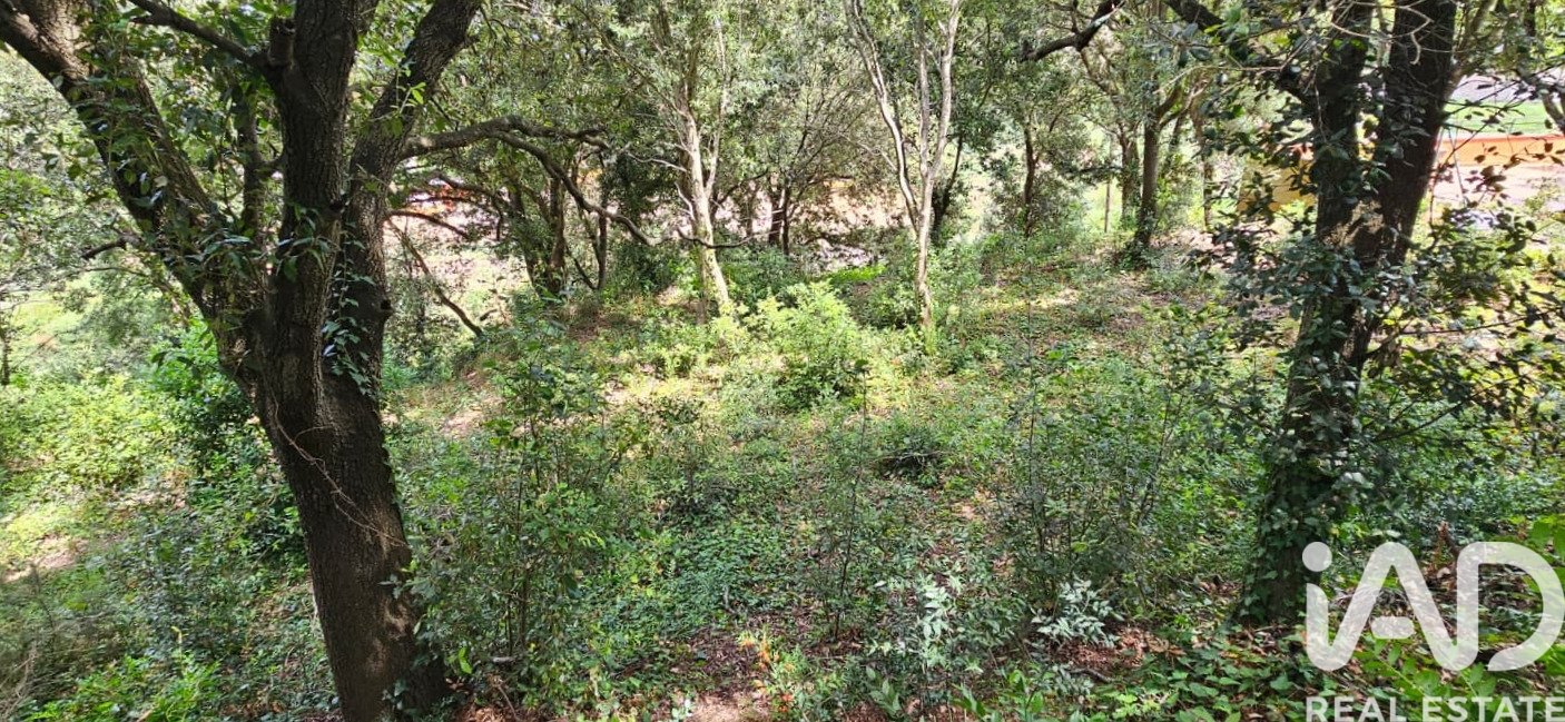Tontti Begur, Girona, Espanja 858 m2 No. 172060