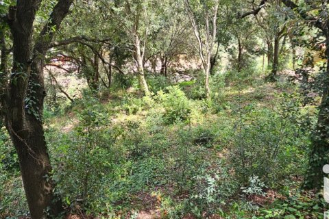 Land zum Verkauf in Begur, Girona, Spanien 858 m2 Nr. 172060 - Foto 9
