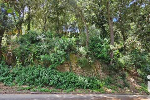 Land zum Verkauf in Begur, Girona, Spanien 858 m2 Nr. 172060 - Foto 2