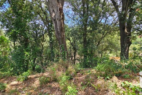 Land zum Verkauf in Begur, Girona, Spanien 858 m2 Nr. 172060 - Foto 7