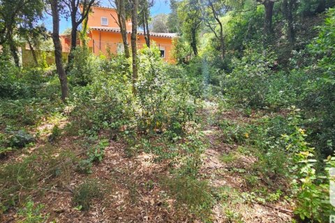 Land zum Verkauf in Begur, Girona, Spanien 858 m2 Nr. 172060 - Foto 5