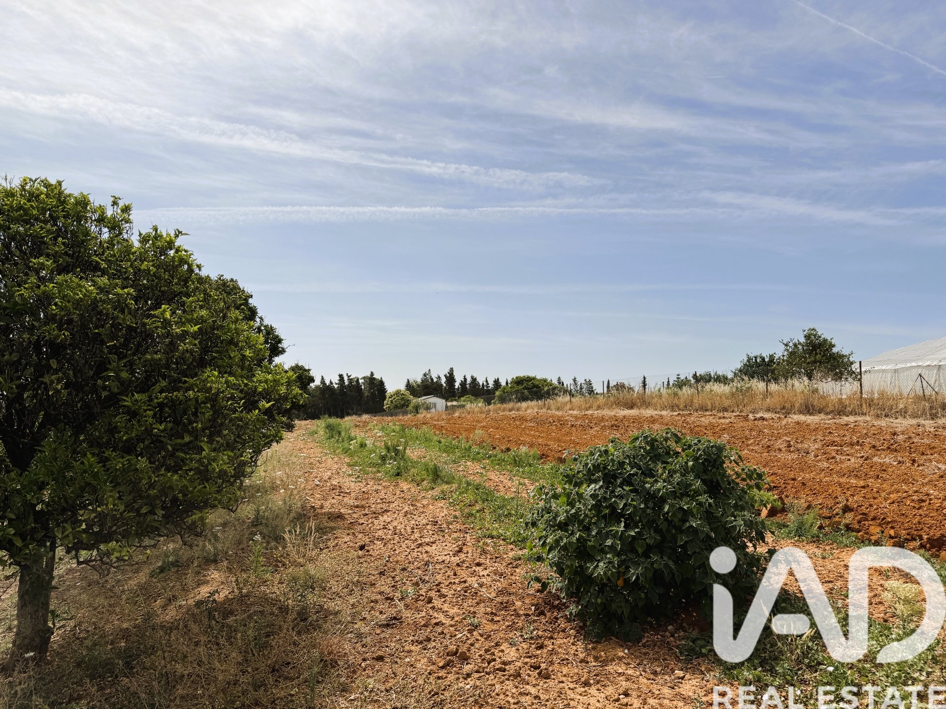 Parcela en Chiclana de la Frontera, Cádiz, España 3928 m2 No. 172062