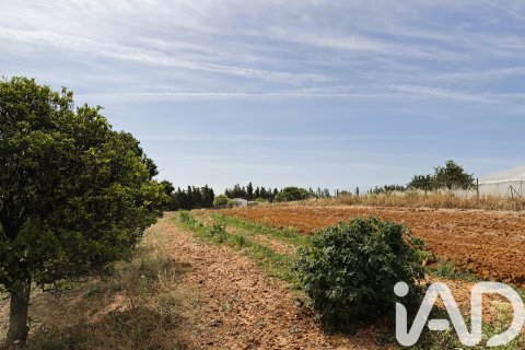 Land plot à vendre à Chiclana de la Frontera, Cadiz, Espagne, 3928 m2 No. 172062 - photo 4