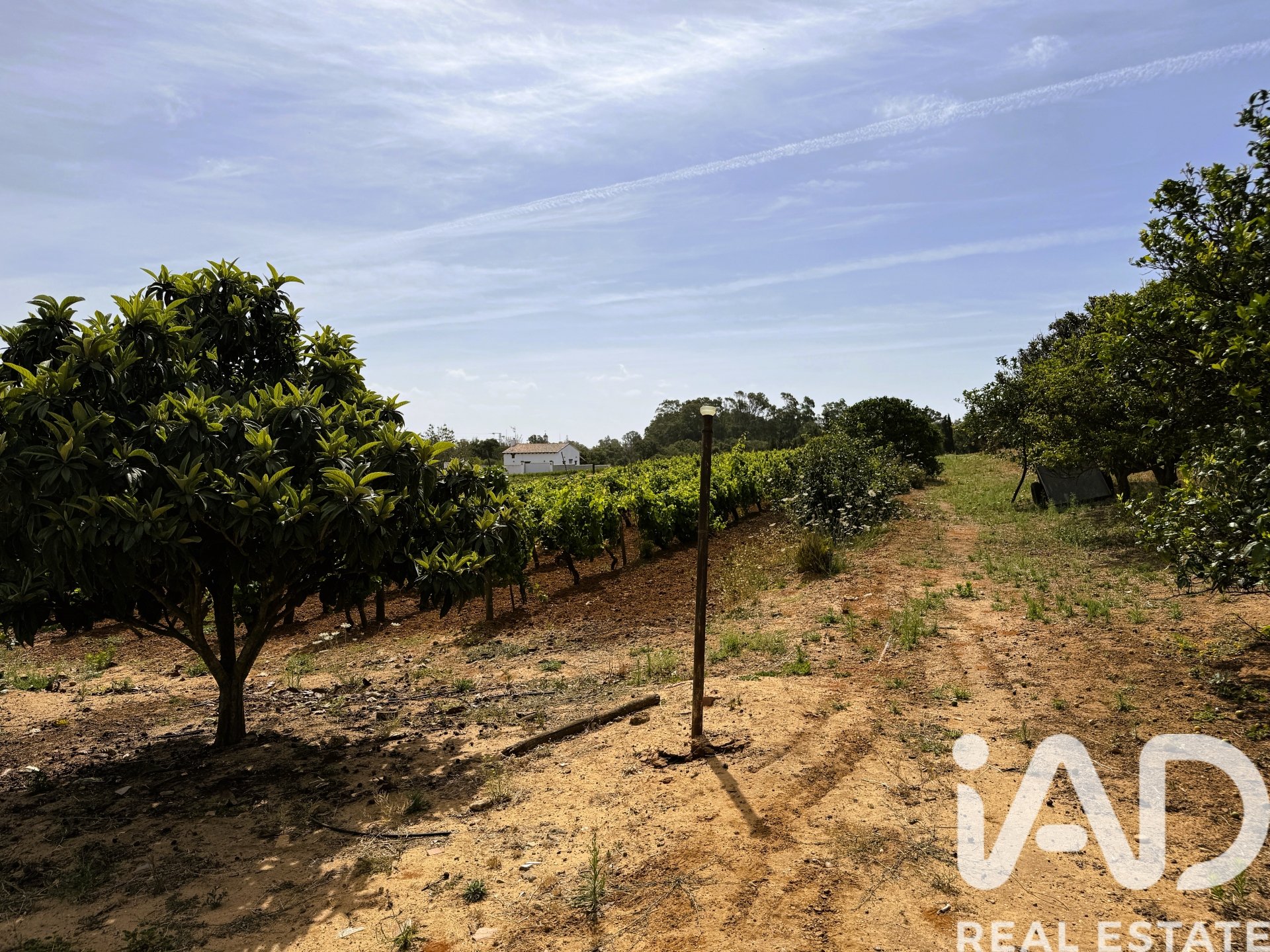 Parcela en Chiclana de la Frontera, Cádiz, España 3928 m2 No. 172062