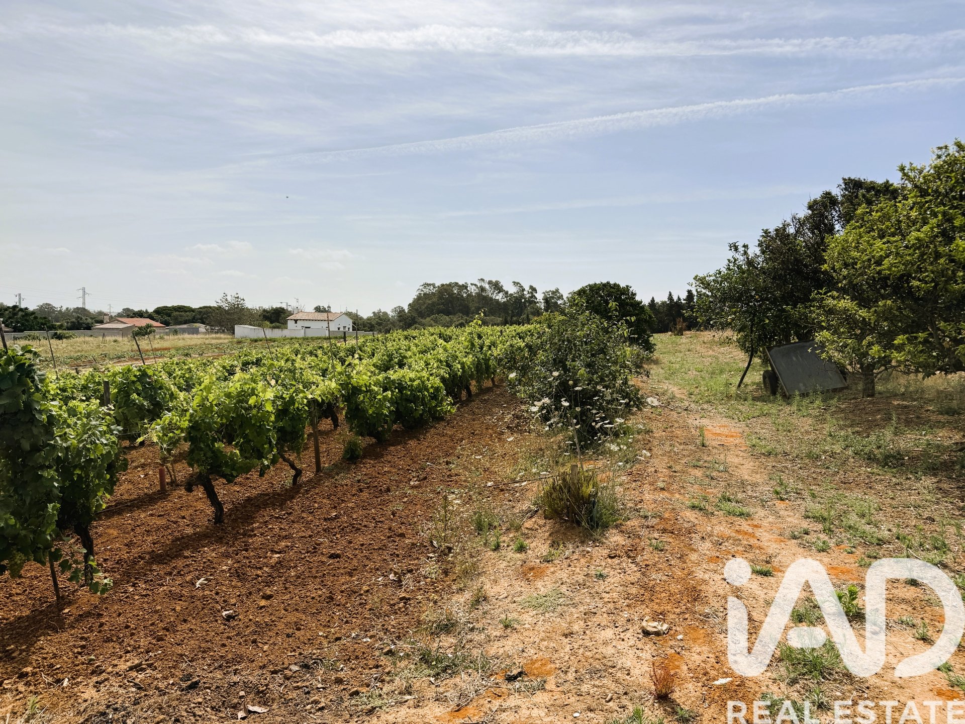 Parcela en Chiclana de la Frontera, Cádiz, España 3928 m2 No. 172062