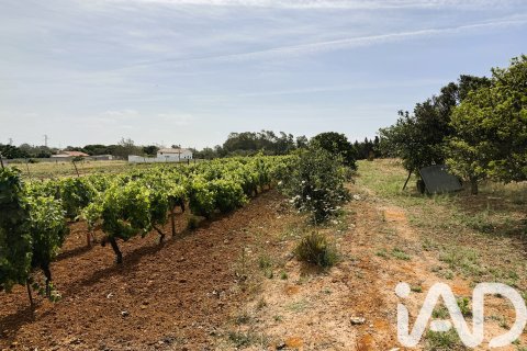 Land plot à vendre à Chiclana de la Frontera, Cadiz, Espagne, 3928 m2 No. 172062 - photo 3