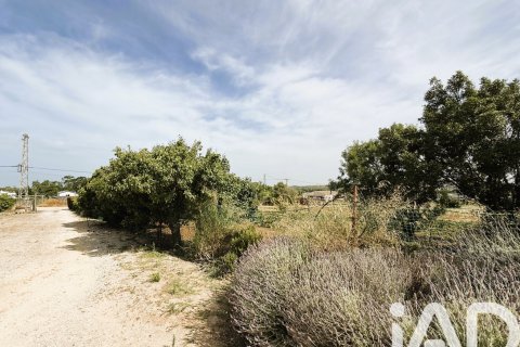 Land plot à vendre à Chiclana de la Frontera, Cadiz, Espagne, 3928 m2 No. 172062 - photo 6