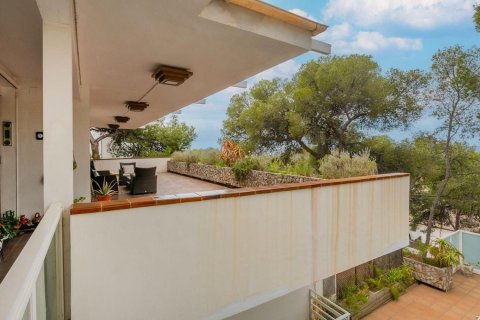 Māja pārdošanā Castelldefels, Barcelona, Spānijā 12 istabas, 653 m2 Nr. 160749 - attēls 11