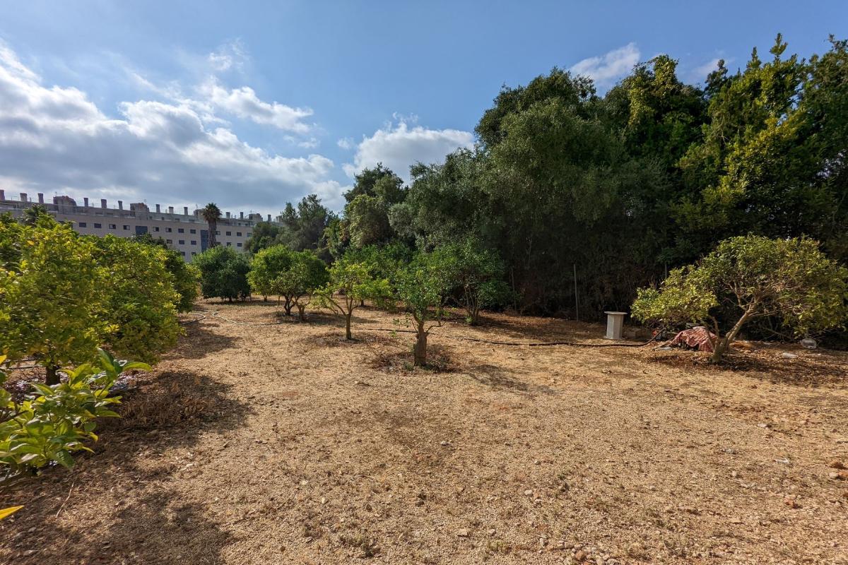 Land plot in Denia, Alicante, Spain No. 80717