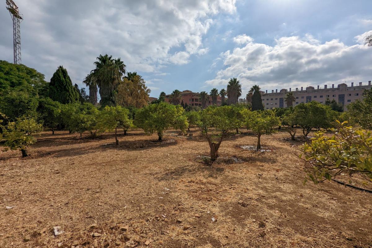 Land plot in Denia, Alicante, Spain No. 80717