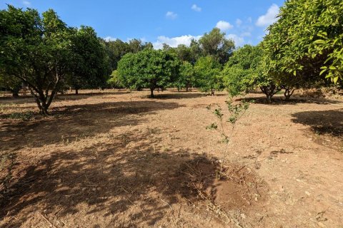 Terreno in vendita Denia, Alicante, Spagna N° 80717 - foto 1