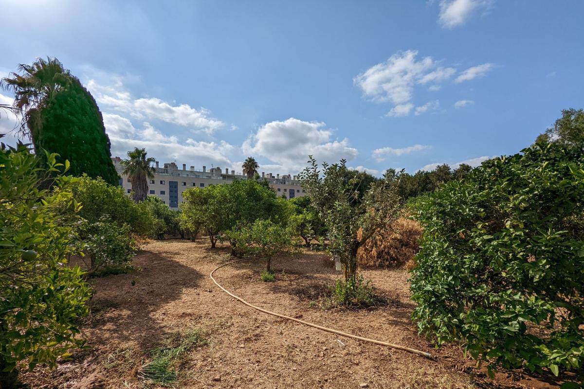 Land plot in Denia, Alicante, Spain No. 80717