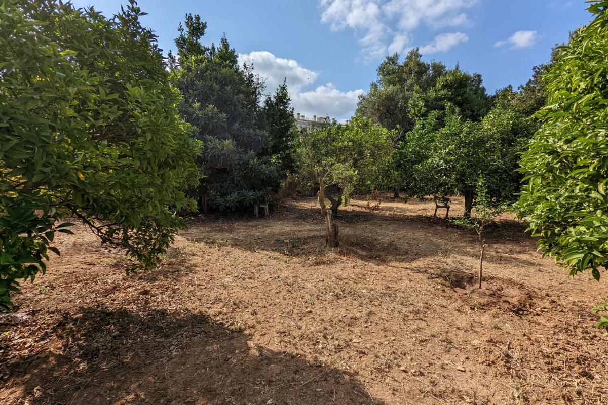 Land plot in Denia, Alicante, Spain No. 80717
