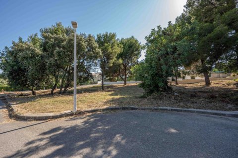 Land plot for sale Javea, Alicante, Spain No. 80714 - photo 7