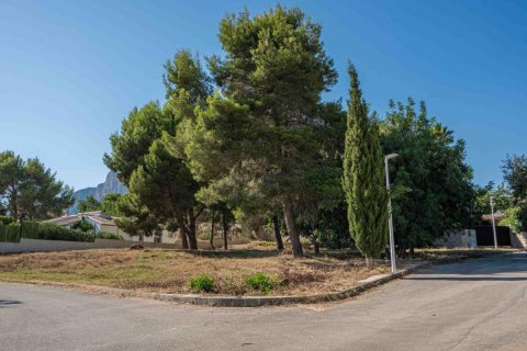 Land plot for sale Javea, Alicante, Spain No. 80714 - photo 4