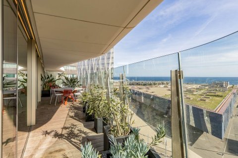 Dzīvoklis pārdošanā Barcelona, Spānijā 3 istabas, 230 m2 Nr. 150697 - attēls 14