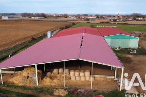 Komerciāls īpašums pārdošanā San Millan De Los Caballeros, Leon, Spānijā Nr. 152574 - attēls 8