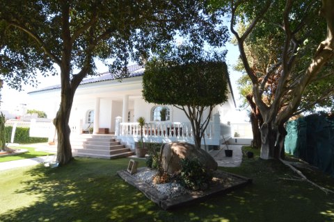 Villa zum Verkauf Torrevieja, Alicante, Spanien 4 Schlafzimmer, 520 m2 Nr. 135663 - Foto 29
