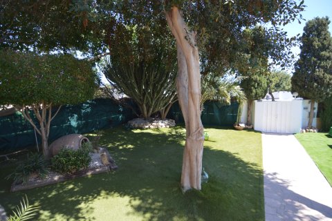 Villa zum Verkauf Torrevieja, Alicante, Spanien 4 Schlafzimmer, 520 m2 Nr. 135663 - Foto 16