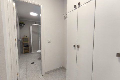 Appartamento in vendita a Torrevieja, Alicante, Spagna 1 camera da letto, 37 mq. N° 183409 - foto 13