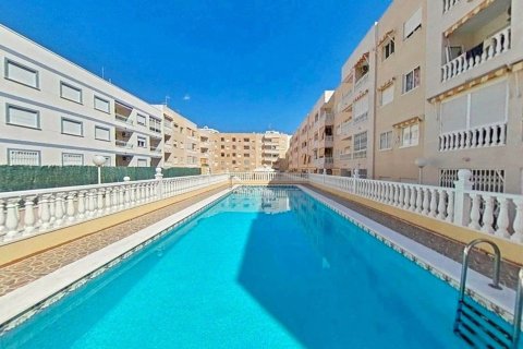 Продажа коммерческой недвижимости в Торревьеха, Аликанте, Испания 1 спальня, 49м2 №183408 - фото 20