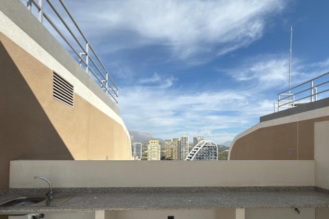 Penthauss pārdošanā Benidorm, Alicante, Spānijā 3 istabas, 304 m2 Nr. 165948 - attēls 17